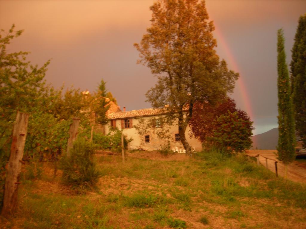 Agriturismo Il Cocco Villa Montalcino Exterior photo